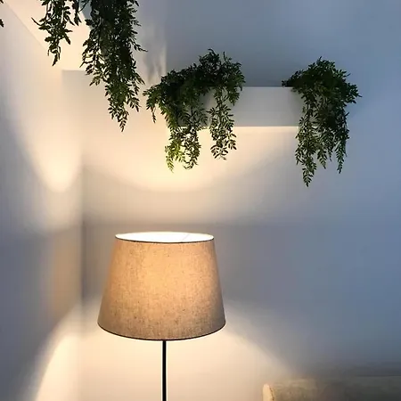 Odra Apartment